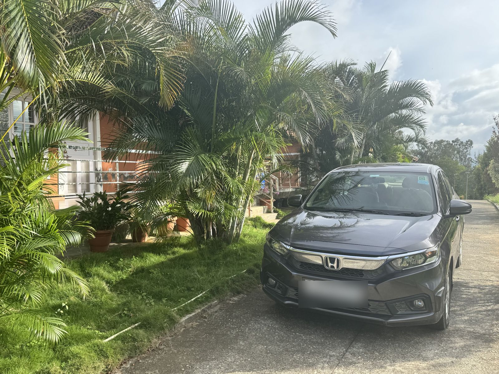 A dark grey sedan parked beside a cottage surrounded by tall palm plants