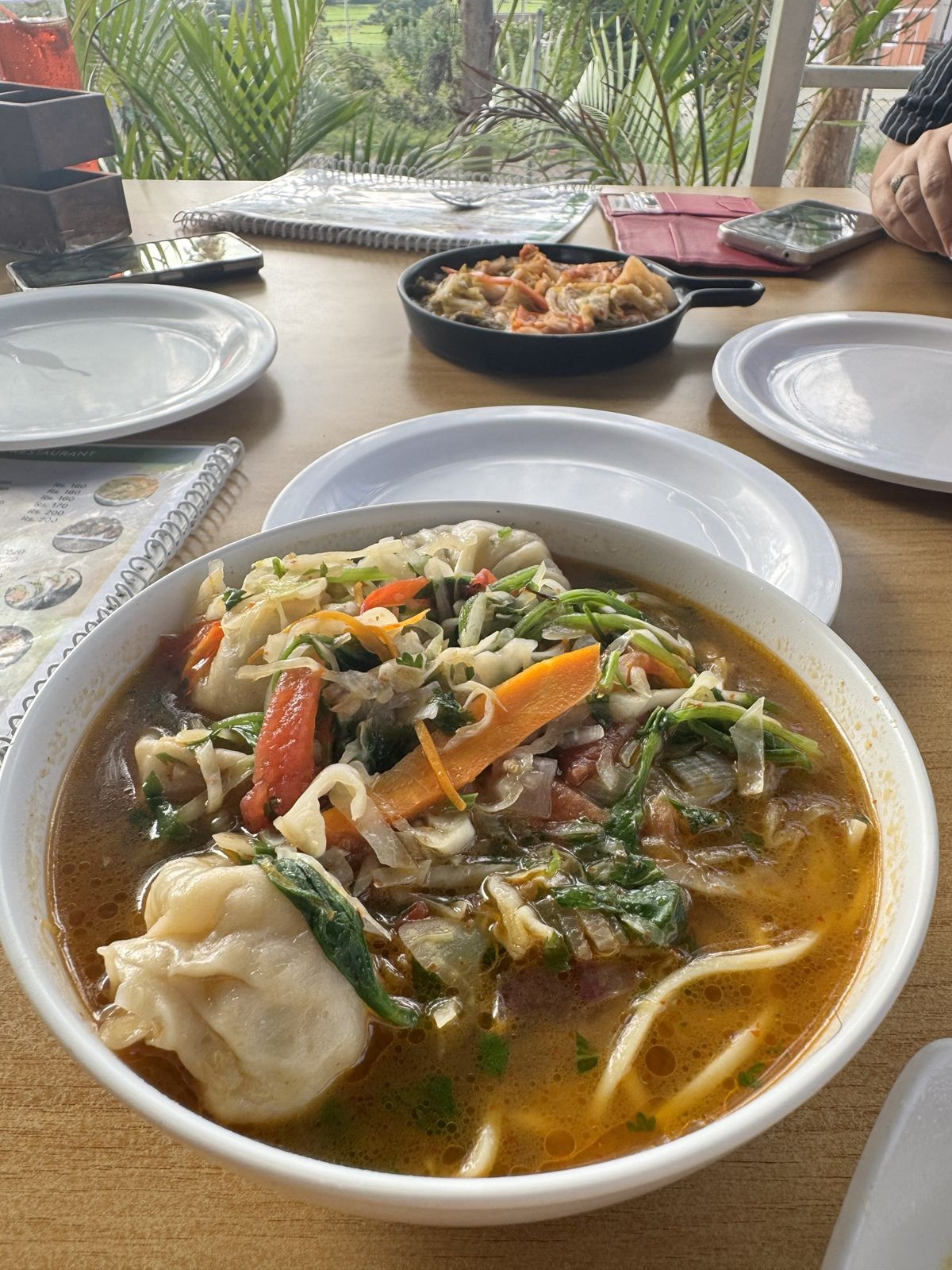 A big bowl of noodle soup with momos, carrots, cabbage and greens