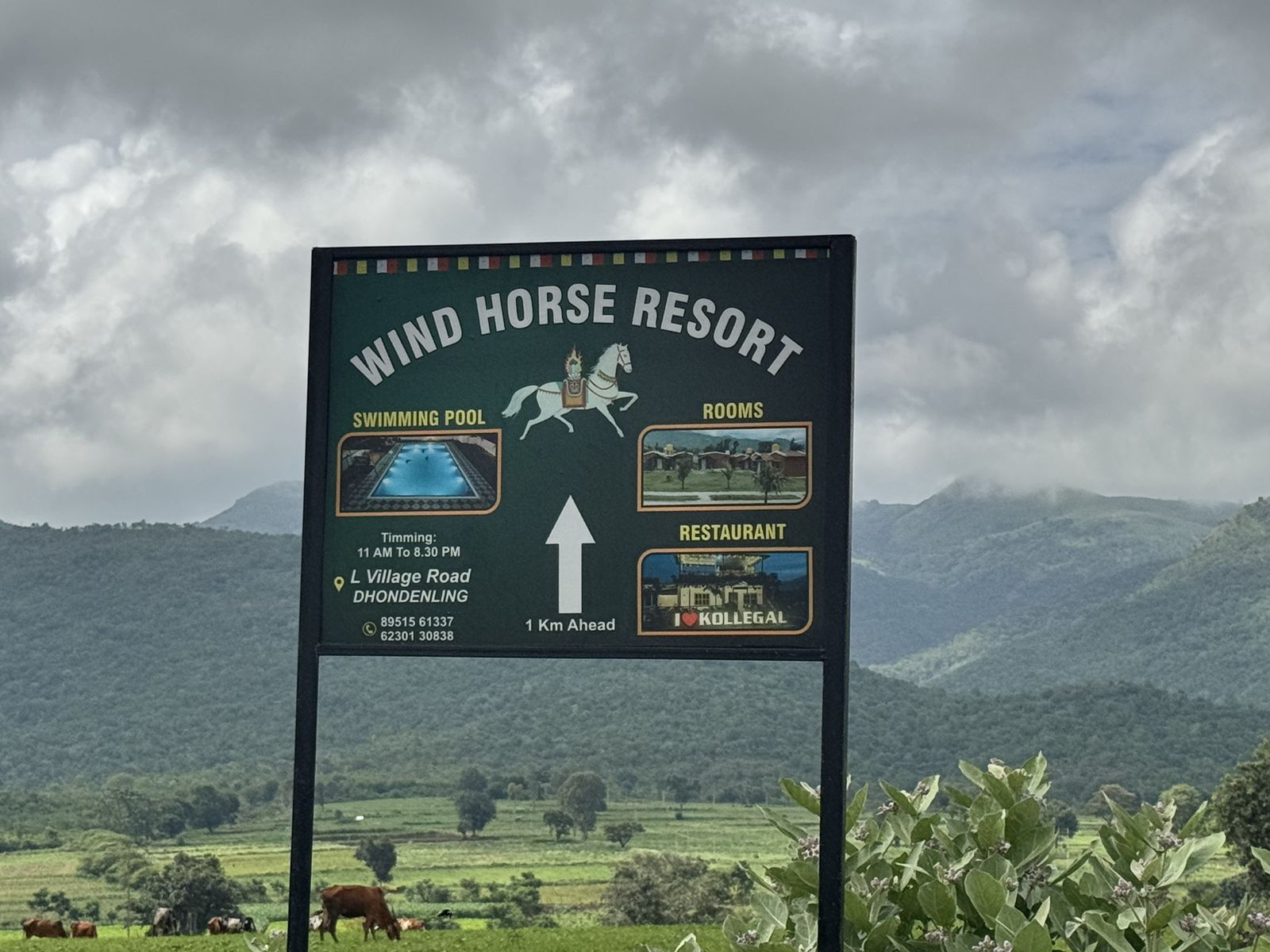 Wind Horse Resort road sign with a white horse, set against green hills and grazing cows